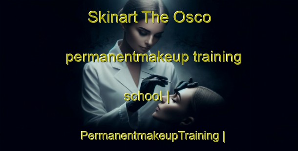 Skinart The Osco permanentmakeup training school | PermanentmakeupTraining | PermanentmakeupClasses | SkinartTraining-United States